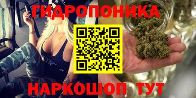 mdpv Новодвинск