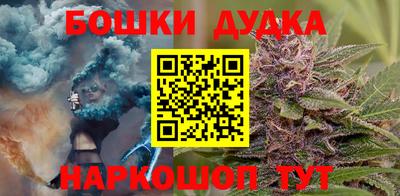 mdpv Новодвинск