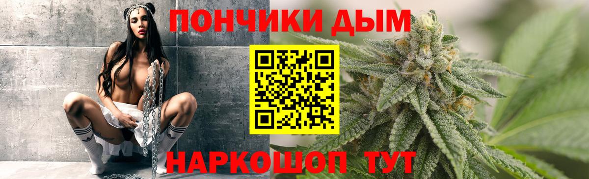 Шишки марихуана планчик Сосновый Бор